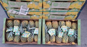 ananas2