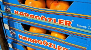 grejpfrut2