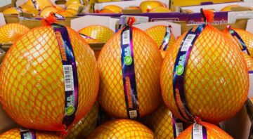 pomelo (2)