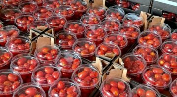 cherry (3)