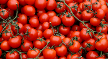 cherry