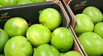 grejpfrut4 (1)