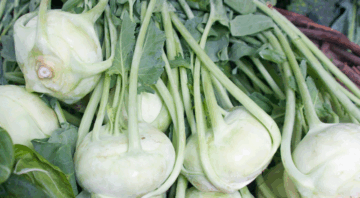 kalarepa