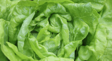 salata