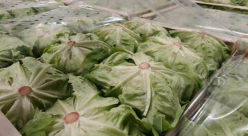 salata7