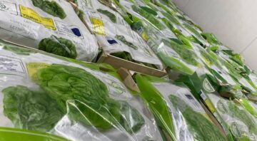 salata9
